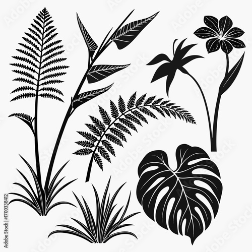 A collection of tropical plants, including ferns, leaves, and flowers, all rendered in a bold, graphic black and white style
