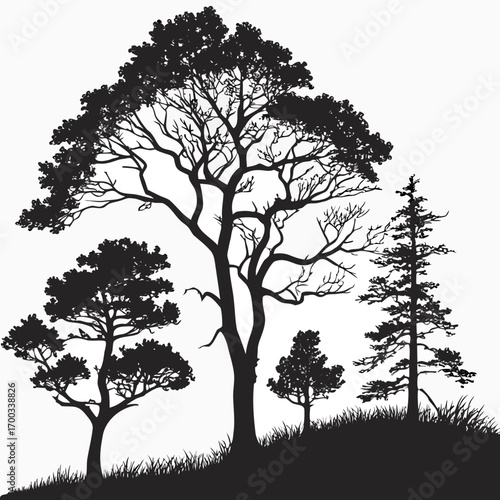 Silhouette of varied trees on a sloping terrain, depicting a tranquil and organic vista the layout conveys balance and a profound connection to the land