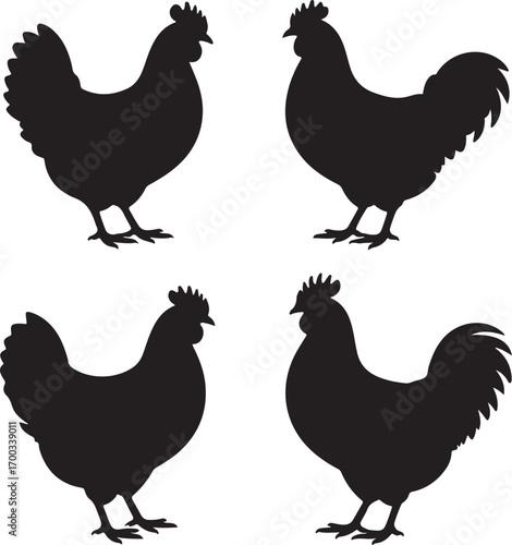 A vector set of chicken, rooster, hen, and chick silhouettes and cartoon illustrations for farm and poultry art