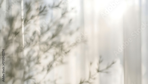 Blurred tree branch shadow overlay on white curtain for natural and organic feel isolated on white background