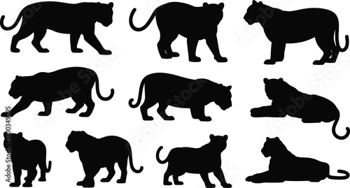 Black panther silhouettes in different poses, walking, standing, sitting, lying down, wild cat, animal shapes, jungle wildlife, big cat