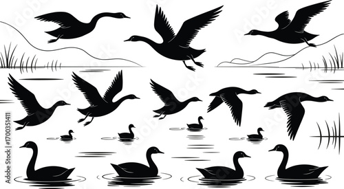 Black silhouettes of flying and swimming ducks and swans over lake, waterfowl birds in nature, bird migration scene, peaceful wildlife landscape illustration, water birds in flight and on water
