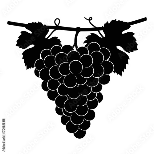Black silhouette of a ripe grape cluster with leaves isolated on white background