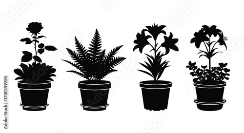 Collection of four silhouettes of potted houseplants showing diverse leaf shapes and blooms vector
