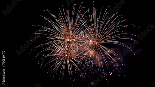 Wallpaper Mural Golden fireworks display bursting in dark night sky Torontodigital.ca