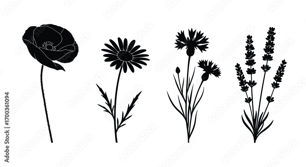 Naklejka premium Delicate silhouette botanical collection diverse floral elements artistic line drawings vector