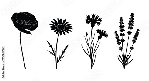 Delicate silhouette botanical collection diverse floral elements artistic line drawings vector