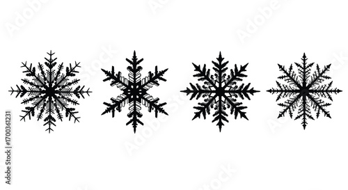 Four detailed black snowflakes isolated on a for winter decoration vector