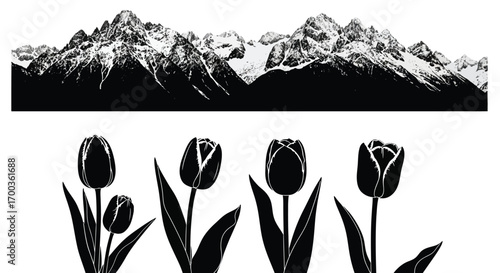 Majestic snowy mountains above delicate tulips field silhouette nature landscape vector