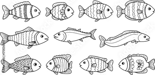 Various crayon drawn cute fish with decorative patterns. Hand drawn vector marine creatures. Doodle collection of kids’ fish icons, featuring salmon, tuna, eel, and other simple sea elements. 