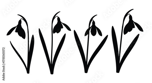 Delicate snowdrop flowers in silhouette border design spring botanical element vector