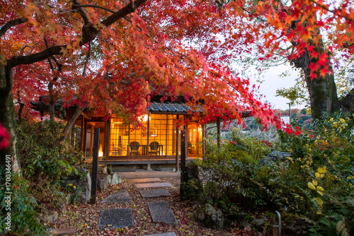 Japanese cafe or restaurant with red maple garden at autumn in Uji