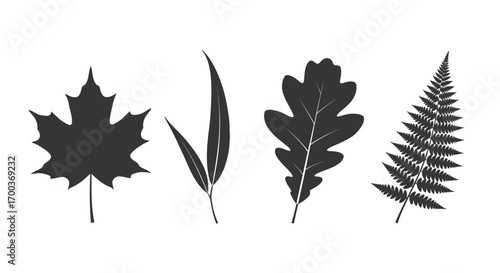 Collection of four distinct autumn leaf silhouettes botanical elements for nature design vector