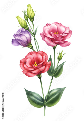 Illustration Of Colorful Watercolor Flowers With Green Stems And Isolated Background