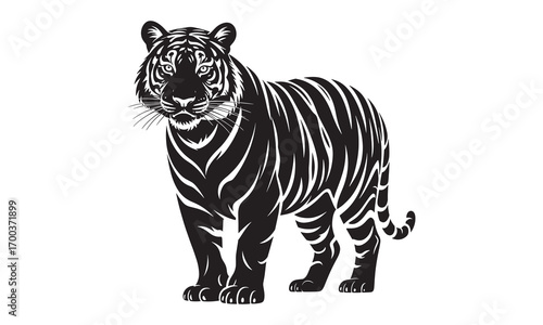 Silhouette of a Tiger Facing Forward in the Wild