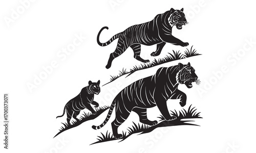 Silhouette of a Group of Tigers Walking Together in the Wild