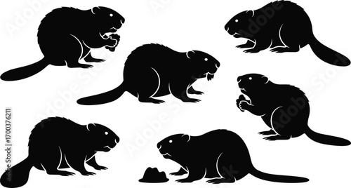Silhouettes of beavers in various poses, wildlife animals, nature illustration, forest creatures, animal vectors, outdoor nature, wild mammals designs