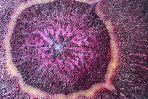 Violette Karotten im Querschnitt mit vielfältiger Textur als Hintergrund für gesunde Ernährung