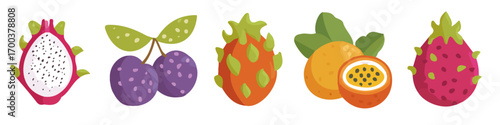 Collection of simple 2D flat design vector icons showing exotic fruits such as dragon fruit, rambutans, and passion fruit. Modern minimalist style, transparent background, ideal for web, apps