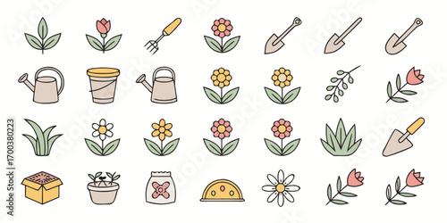 Collection of gardening tools and plants