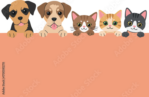 Cute dogs and cats holding blank signboard vector illustration with playful pets and friendly animals design
