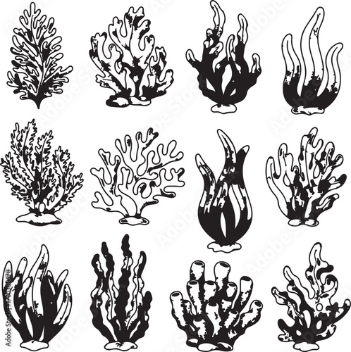 "Coral Reef Silhouette – Detailed Seaweed and Underwater Plant Lineart Collection"