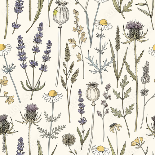 Botanical pattern with lavender, chamomile, thistle, and poppy seed heads drawings, seamless pattern, royalty free stock.