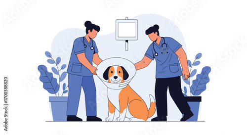 Veterinary professionals caring for a dog in a medical collar after treatment