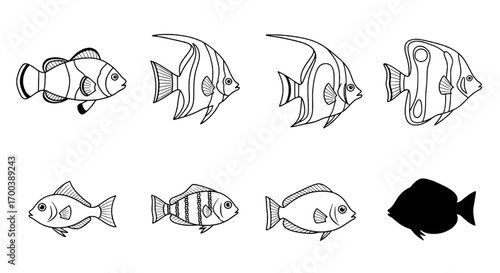 Collection of Eight Different Fish Line Art Illustrations