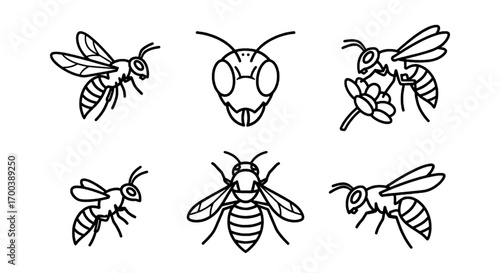Insect Outlines Collection Ant, Bee and Wasp Line Art
