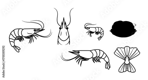 Shrimp Silhouettes Variety of Shrimp Poses in Black and White