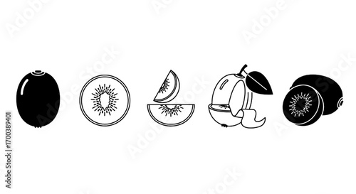 Kiwi Vector Icons Black and White Outline Illustrations