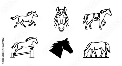 Horse Line Art Collection Various Poses and Styles for Equine Designs
