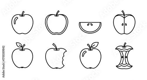 Apple Fruit Outlines Core, Slice, Bite, and Whole