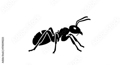 Silhouette of an ant, insect, small bug, black and white vector illustration