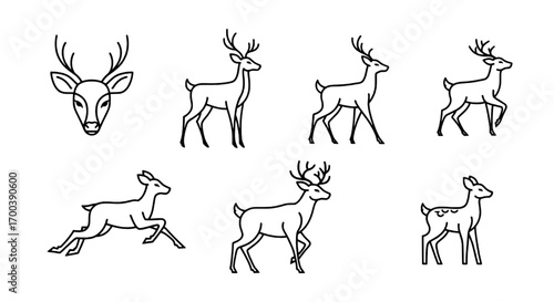 Deer Silhouette Collection Graceful Antlered Animals in Minimalist Designs