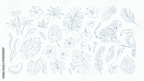 Tropical jungle elements hand drawn sketch style with leopard and toucan
