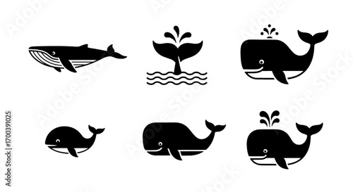 Whale Icon Set Aquatic Mammal Graphics for Ocean-themed Designs