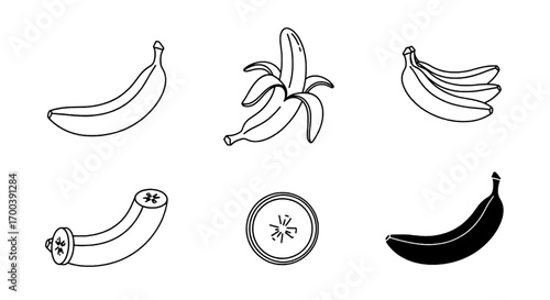 Banana Fruit Outlines Vector Illustrations of Peels, Bunches, Slices & Silhouettes