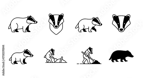 Set of Badger Illustrations in Different Poses for Logo or Design