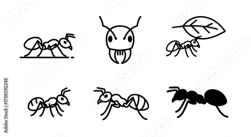 Ant Collection Minimalist Line Art of Worker Insects for Design Projects