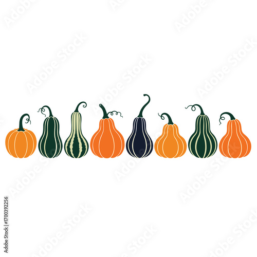 Autumn harvest of colorful ornamental gourds and pumpkins
