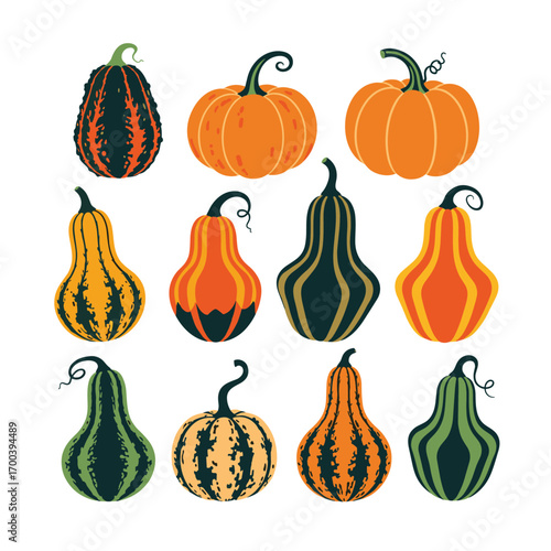 Collection of autumn gourds and pumpkins decoration elements