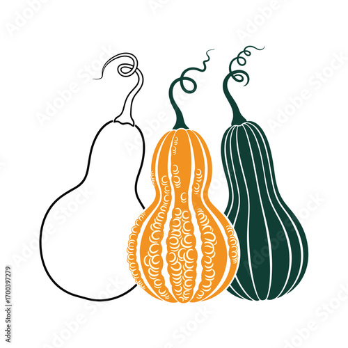 Autumn harvest gourds vegetable collection seasonal decor