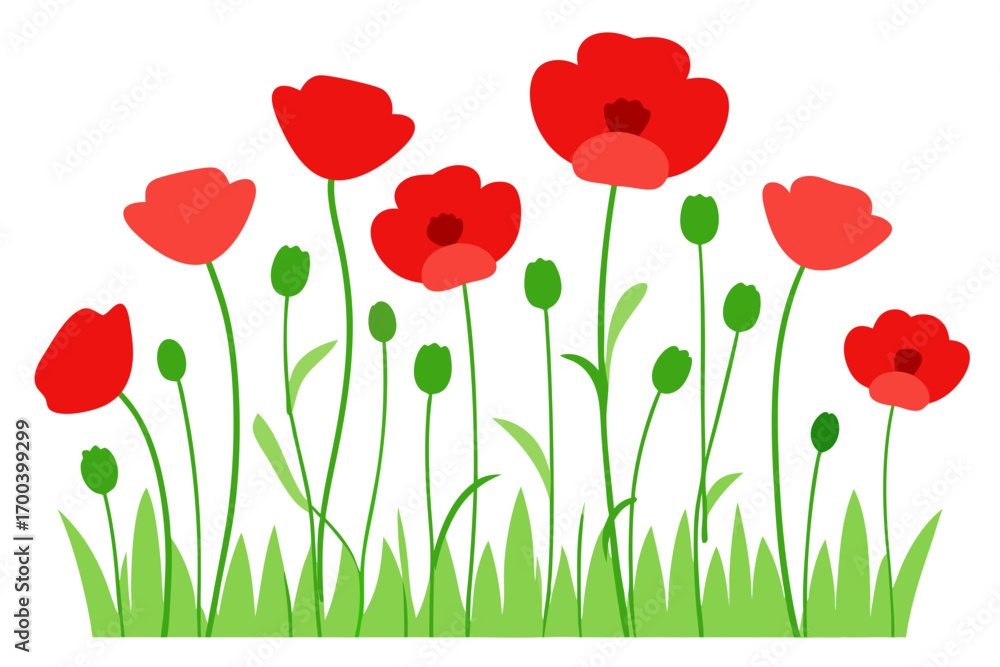 Fototapeta premium Fresh summer meadow with red poppies vector illustration