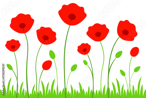 Fresh summer meadow with red poppies vector illustration