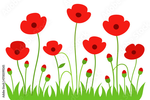 Fresh summer meadow with red poppies vector illustration