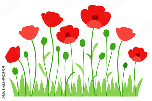 Fresh summer meadow with red poppies vector illustration