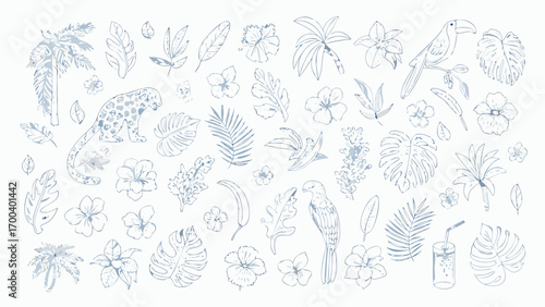 Hand drawn tropical elements collection with leopard toucan and parrot