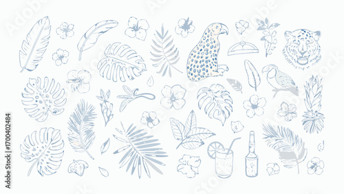 Tropical jungle elements collection hand drawn sketch style